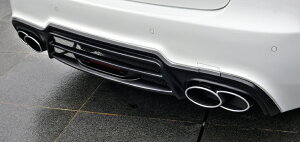 WALD ヴァルド (SPORTS LINEBLACK BISON EDITION  スポーツラインブラックビジョンエディション)メルセデスベンツ E‐CLASS W212 リアバンパースポイラー