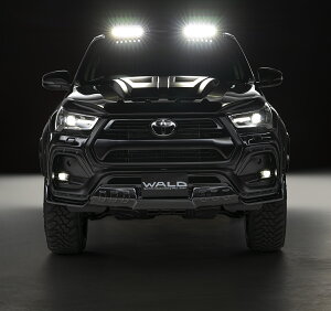 WALD@@hiSPORTS LINE BLACK BISON EDITION@X|[cC ubN oC\ GfBVj@nCbNX@GUN125@GA3_ZbgitgX|C[AAXpbcAI[o[tF