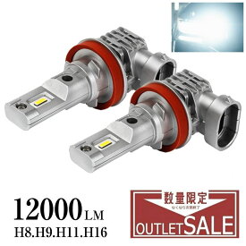 【即買推奨！価格継続アフターSALE！】 NZT260 系アリオン H8 H11 H9 H16 h11 LED フォグ LED化 明るい 12000ルーメン 12000LM H8 LEDフォグランプ H16 LEDバルブ LED ヘッドライト ドレスアップ LED カスタム パーツ