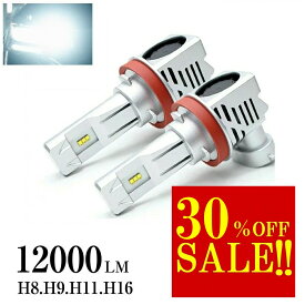 【見逃し厳禁！30％OFF アフターSALE】 NZT260 系アリオン H8 H11 H9 H16 h11 LED フォグ LED化 明るい 12000ルーメン 12000LM H8 LEDフォグランプ H16 LEDバルブ LED ヘッドライト ドレスアップ LED カスタム パーツ