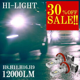 【見逃し厳禁！30％OFF アフターSALE】 NZT260 系アリオン H8 H11 H9 H16 h11 LED フォグ LED化 明るい 12000ルーメン 12000LM H8 LEDフォグランプ H16 LEDバルブ LED ヘッドライト ドレスアップ LED カスタム パーツ