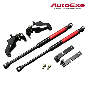 [[J[] AutoExe (I[gGO[) Bonnet Damper / {lbg_p[ iԁFMDJ2960