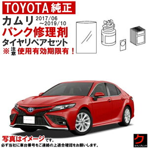 g^ pNC Zbg J AXVH70 2017/06~2019/10 ^CyALbg ԍڃpNC g^  pNC ԍڍH pNC  gpLI RvbT[͕t