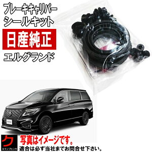 Y A u[L Lp[V[Lbg GOh PE52 TE52 PNE52 TNE52 Lp[Lbg yApz jbT Y  NISSAN PITWORK AY620-NS036 AY620NS036 Lp[V[Lbg 