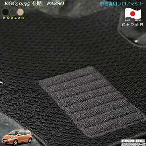 g^@KGC30.35@pb\ ptA}bgSȈ䕪lNVbN(ROXIC) JWAV[Y{SI[_[Ch