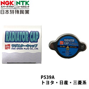 NGK Y Zi CNC25 H17.5~H22.11 p WG[^[Lbv P539A