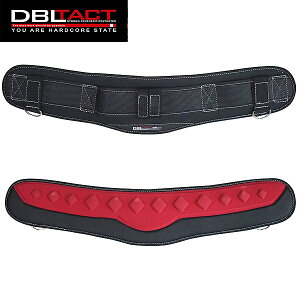 DBLTACT GA[NbV T|[^[GA ubN DT-SA-BK