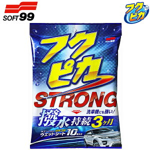 \tg99 tNsJ XgO EFbgV[g W219 10