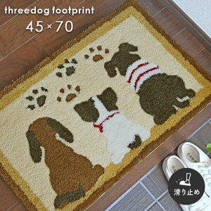 փ}bg X[hbO 45×70 cm ~ l킢  Ck fUC 