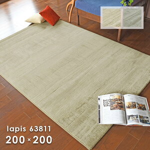 O sX 63811 200×200 cm xM[ EBgD Vv _ fUC J[ybg O~ 