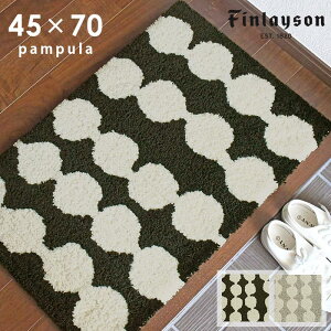 փ}bg pv[ 45×70 cm 􂦂 { ~ k tBC\ finlayson  p5