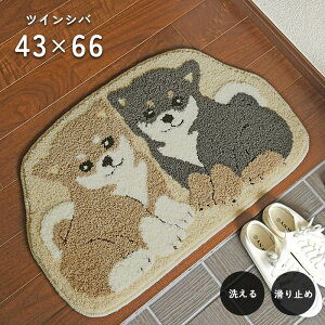 փ}bg cCVo 43×66 cm 􂦂 ~ l킢  Č ό` fUC 