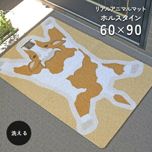 ���փ}�b�g ���A���A�j�}���}�b�g �z���X�^�C�� 60×90 cm ���O ���� ���p �􂦂� �e���X�}�b�g �h�A�}�b�g ��������