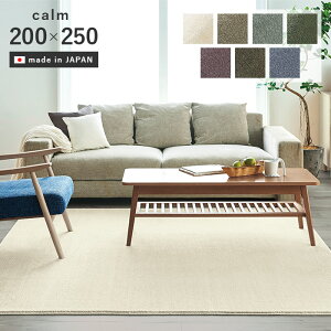 O J[ 200×250 cm { O}bg J[ybg ~ h h_j h ϔM X~mG  p5