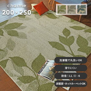 O V 200×250 cm 􂦂 O}bg J[ybg X~mG h ~ h ϔM i` [t  