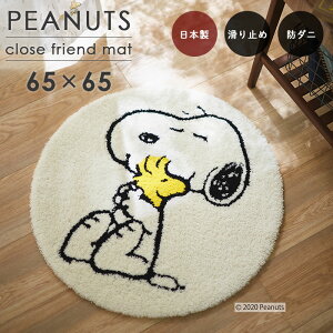 փ}bg N[Xth}bg ~` 65×65 cm s[ibc Xk[s[ { X~mG h_j ~  p5