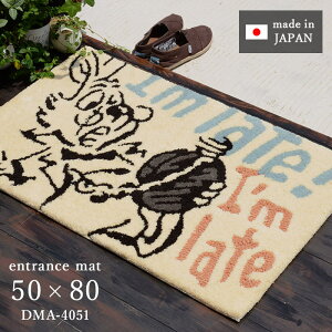 փ}bg AX ACCg}bg DMA-4051 50×80 cm 􂦂 { h_j ~ X~mG fBYj[ 