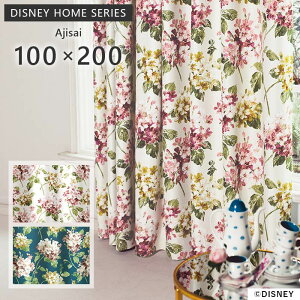 J[e AX AWTC  100× 200 cm 1 Ռ 􂦂 { X~mG DISNEY HOME SERIES fBYj[ J[e  p5