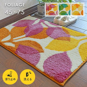 փ}bg tHbW 45×75 cm 􂦂 ~ { X~mG k [t IWi }bg 