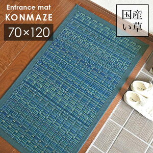���� ���փ}�b�g ������ 70×120 cm ���{�� ���荂�� ���Y ���� 100�� ����~�� �|��D ��������