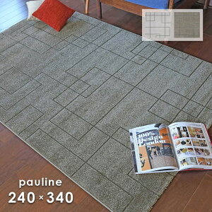 ���O �|�[���� 3834 240×340 cm �v���[�x�� �h�� �x���M�[�� �E�B���g���D �V���v�� ���_�� �f�U�C�� �J�[�y�b�g �O�~ �������� p10