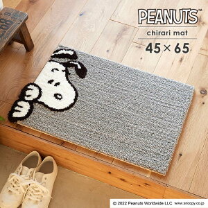 փ}bg `}bg 45×65 cm s[ibc Xk[s[ { X~mG h_j ~  p5