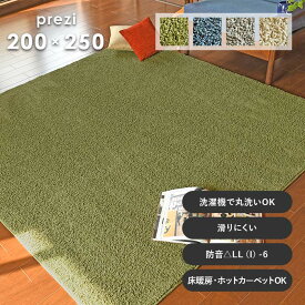 ラグ プレジー 200×250 cm 洗える ラグマット カーペット 防音 滑り止め 防音 耐熱 スミノエ 送料無料