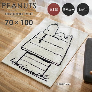 փ}bg XgGA}bg 70×100 cm s[ibc Xk[s[ { X~mG h_j ~  p5