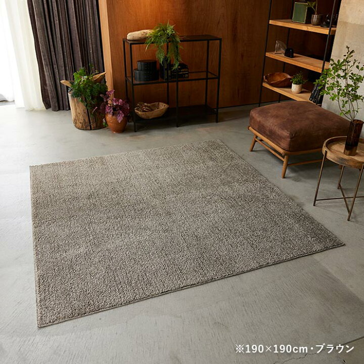楽天市場】ラグ ソル 190×190 cm 洗える 日本製 スミノエ製 防ダニ 