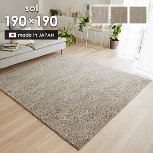 O \ 190×190 cm 􂦂 { X~mG h_j ~ g[ zbgJ[ybg Ή n Vv O}bg  p5