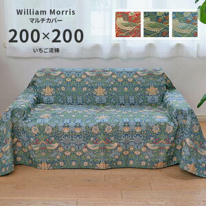 }`Jo[ D_ HV1710 ` 200×200 cm 􂦂 { 쓇DZR WK[hD  n EBA X 