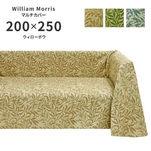 }`Jo[ EB[{E HV1716 ` 200×250 cm 􂦂 { 쓇DZR WK[hD  n EBA X 