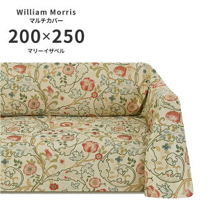 }`Jo[ }[CUx HV1725 ` 200×250 cm 􂦂 { 쓇DZR WK[hD  n EBA X 