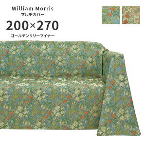 �}���`�J�o�[ �S�[���f�������[�}�C�i�[ HV1742 �����` 200×270 cm �􂦂� ���{�� �쓇�D���Z���R�� �W���K�[�h�D ���� ���n �E�B���A�� �����X ��������