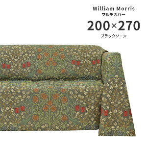 �}���`�J�o�[ �u���b�N�\�[�� HV1748S �����` 200×270 cm �􂦂� ���{�� �쓇�D���Z���R�� �W���K�[�h�D ���� ���n �E�B���A�� �����X ��������