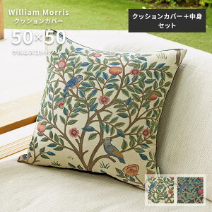 NbVJo[ ރZbg PXRbgc[ LL1722 50×50 cm 􂦂 { 쓇DZR WK[hD  n EBA X 