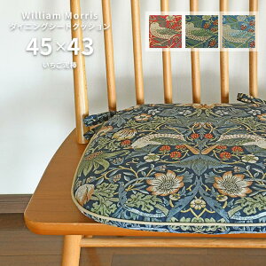 _CjO V[gNbV D_ LN1710 45×43 V cm 􂦂 { 쓇DZR WK[hD  n EBA X 