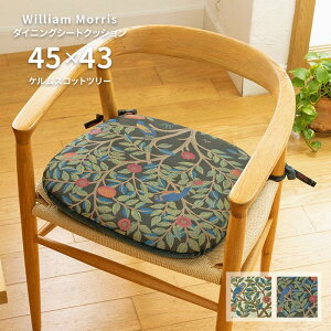 _CjO V[gNbV PXRbgc[ LN1722 45×43 V cm 􂦂 { 쓇DZR WK[hD  n EBA X 