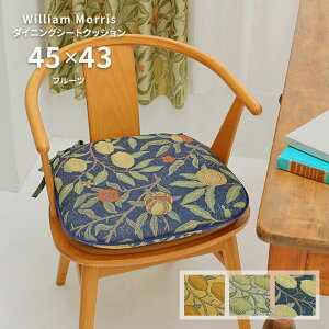 _CjO V[gNbV t[c LN1729 45×43 V cm 􂦂 { 쓇DZR WK[hD  n EBA X 