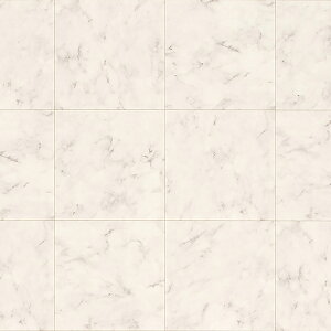 y1mȏ10cmPʁz@NbVtA CFV[g H CF9655/CF9656/CF9657/CF9658wrARJxwAxXJ[gxw}[uxhEREBXHERہEhJrEƊ