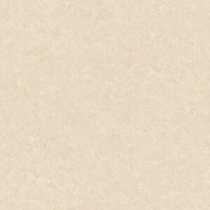 y1mȏ10cmPʁz@NbVtA CFV[g H CF9655/CF9656/CF9657/CF9658wrARJxwAxXJ[gxw}[uxhEREBXHERہEhJrEƊ