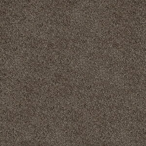 @vCNX@ 50cm×50cm򊴂̂JbgpCŗ\^CJ[ybgBN̂炦o܂B