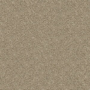 @vCNX@ 50cm×50cm򊴂̂JbgpCŗ\^CJ[ybgBN̂炦o܂B