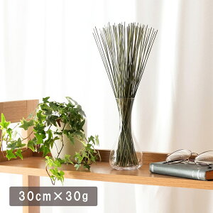  XeBbN i` CeA u ݂炢 tOX v 30cm×30g irucicoV[Y C  GR TXeBiu L fBt[U[ ϗtA IuWF  G C