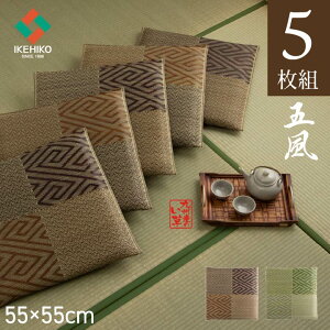 zc 5g zc Zbg  zc Y u ܕ 5g v 55×55cm uE O[ zc { D璹  Rf ԂƂ Uug  azc qp ~