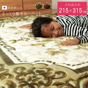 [5%offクーポン！8/11まで] ラグ 厚手 40mm厚敷布団 ふっくら敷き 長方形 「 シャルマン 」 215×315cm ブラウン グリ…