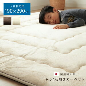 40mm~zc ӂ~ `u tB[ v 190×290cm x[W uE ɌO OJ[ybg  ` ӂ烉O ~zc h  IV