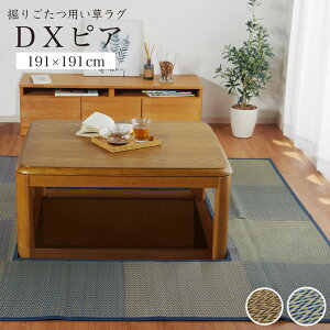 [5%off�N�[�|���I5/23 20���`28h����] �@�育���p �J�[�y�b�g ���� 191×191cm ����ʂ��F90×90cm �u DX�s�A �v ���t�� �t���[�����O�p �u���[ �x�[�W���@�育���� �x�R�^�c �@�肱���� �Z���^�[���O