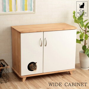 [ő唼zN[|12/4 20`] LDƂƋ Lrlbg k Lrlbg   u LƋ ChLrlbg v 89×44×72.5cm lR ˂ Lbg Lrlbg ؐ k