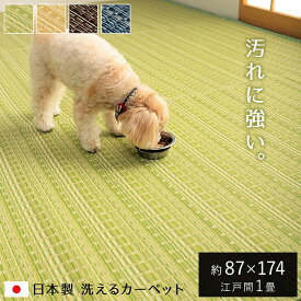 ラグ 洗える カーペット 長方形 防ダニ 「 バルカン 」 江戸間1畳 約87×174cm ペット 犬 猫 グリーン ベージュ ブラウン ネイビー 和風 ポリプロピレン い草調 ござ 1畳 マット 厚手 和室 赤ちゃん